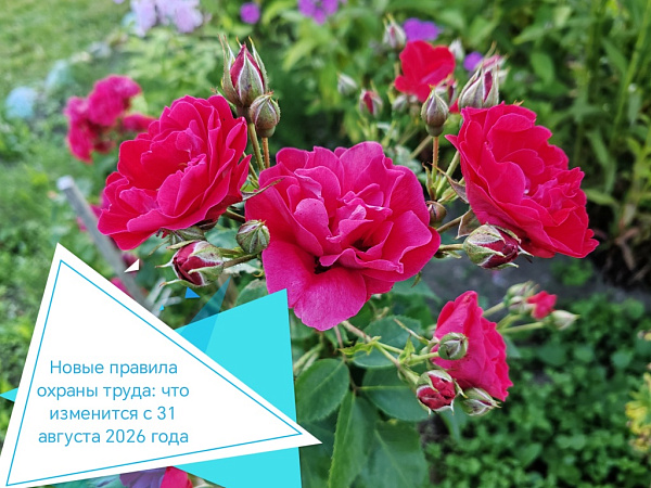 Новые правила охраны труда: что изменится с 31 августа 2026 года